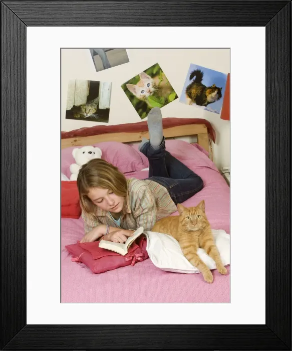 Framed Print : Picture No. 10772173 Framed Print : Picture No. 10772173