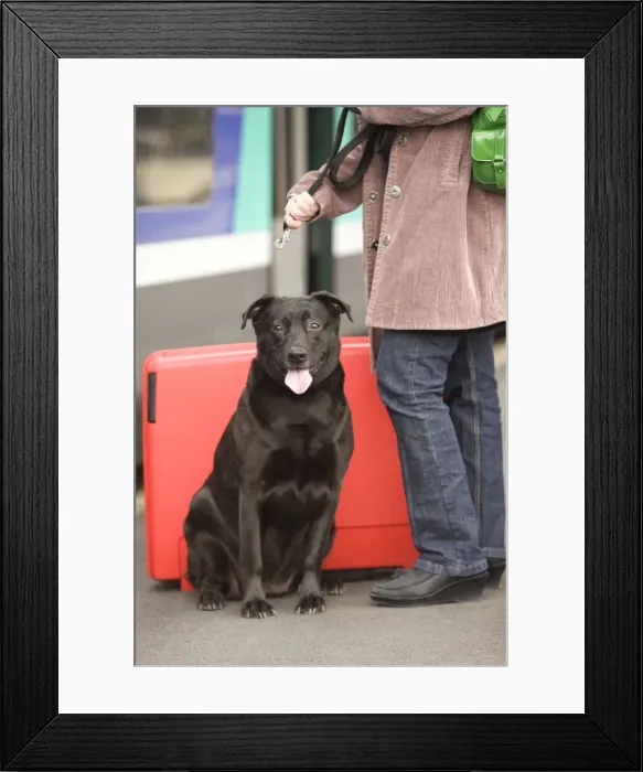 Framed Print : Picture No. 10772168 Framed Print : Picture No. 10772168