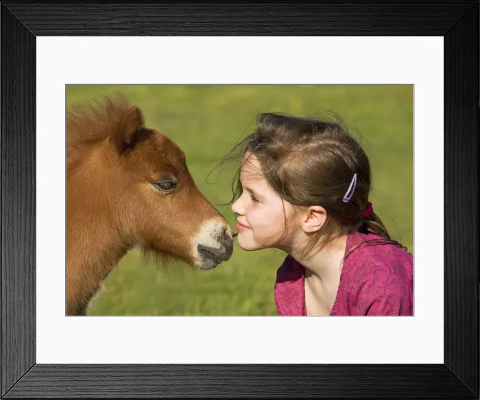 Framed Print : Picture No. 10772233