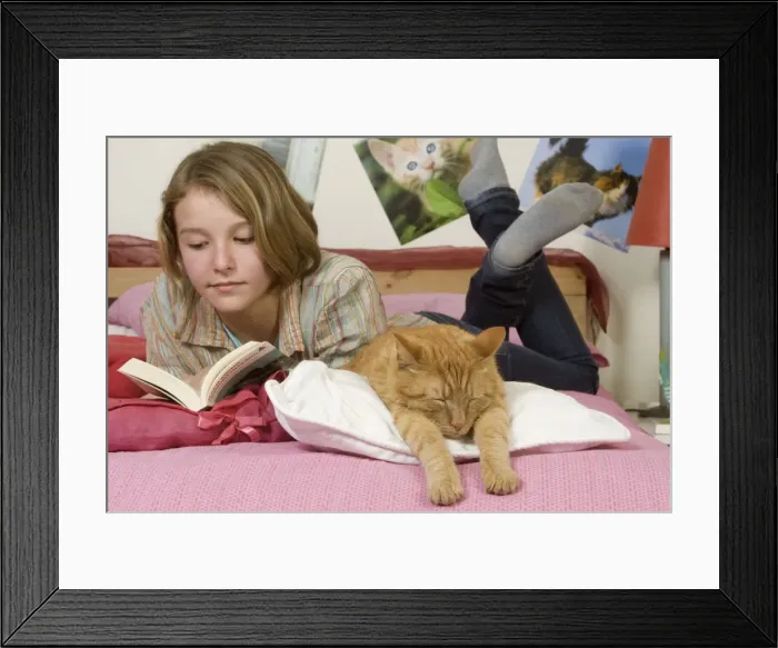 Framed Print : Picture No. 10772172 Framed Print : Picture No. 10772172
