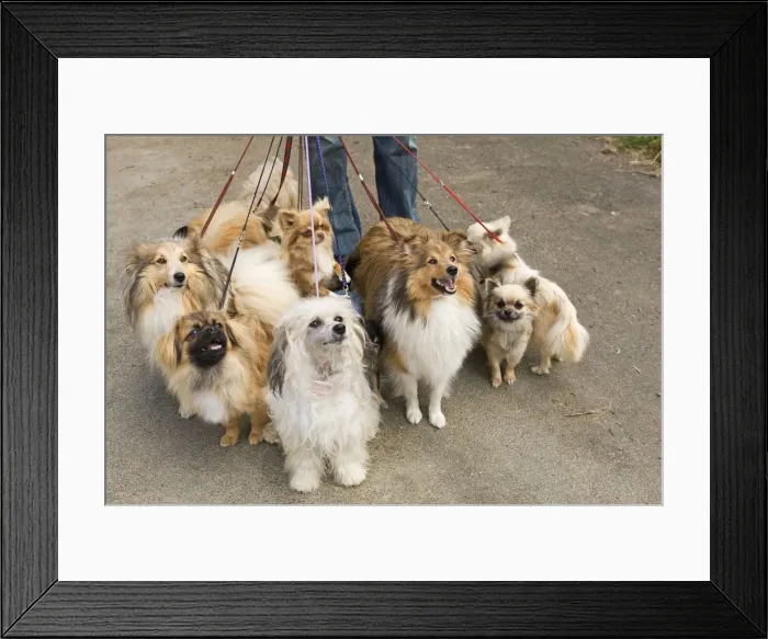 Framed Print : Picture No. 10772244 Framed Print : Picture No. 10772244