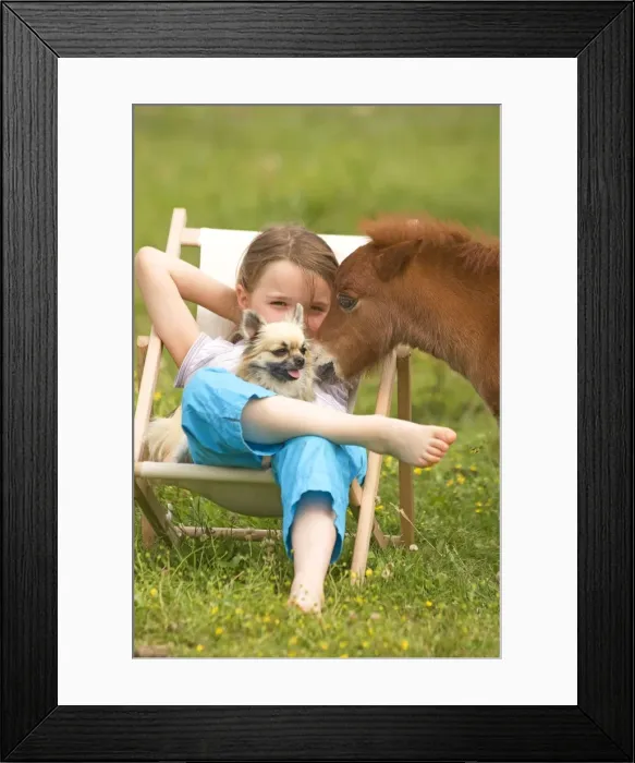 Framed Print : Picture No. 10772248 Framed Print : Picture No. 10772248