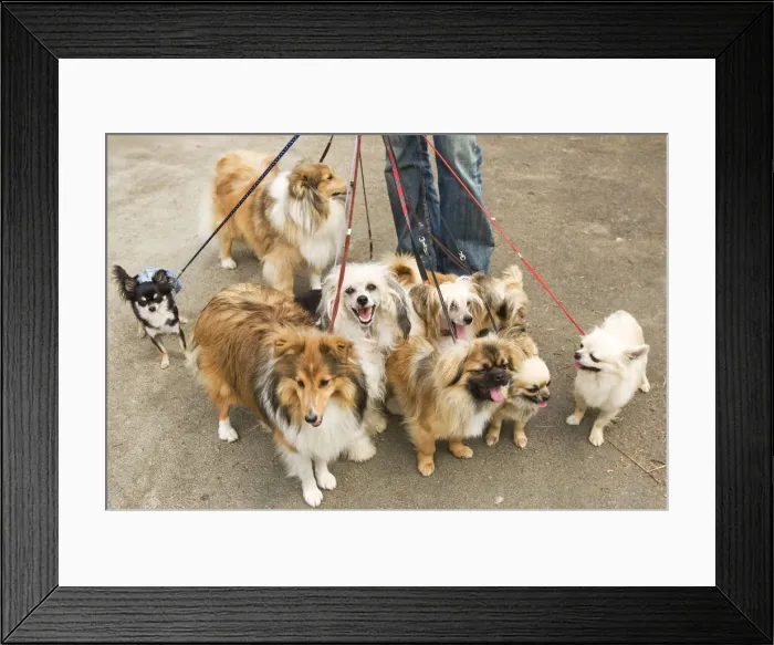 Framed Print : Picture No. 10772243 Framed Print : Picture No. 10772243