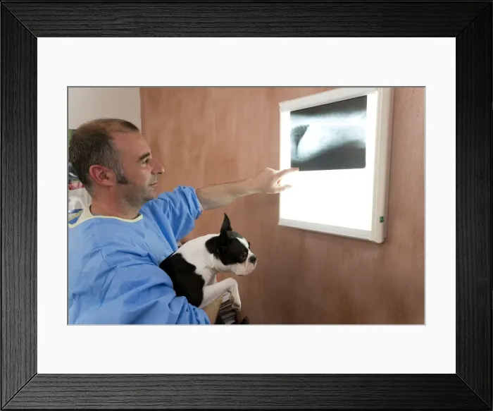 Framed Print : Picture No. 10772295 Framed Print : Picture No. 10772295