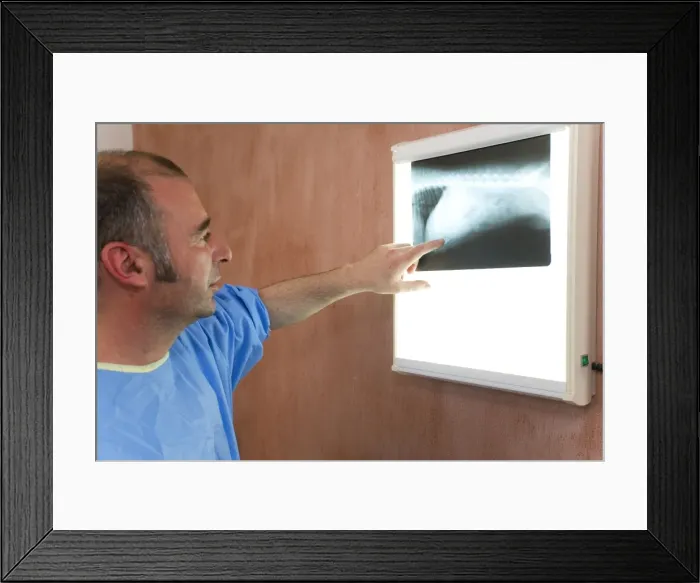 Framed Print : Picture No. 10772296 Framed Print : Picture No. 10772296