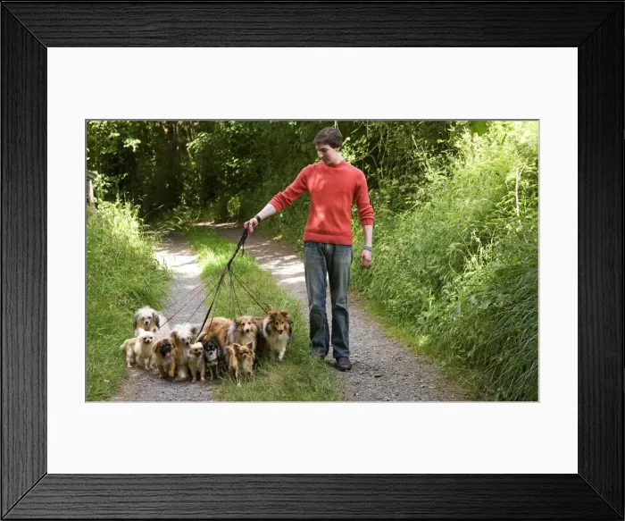 Framed Print : Picture No. 10772245 Framed Print : Picture No. 10772245
