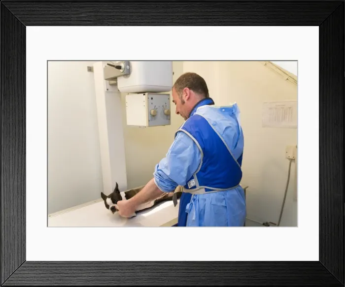 Framed Print : Picture No. 10772294 Framed Print : Picture No. 10772294