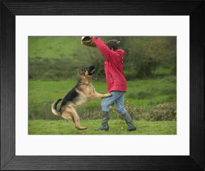 Framed Print : Picture No. 10772384 Framed Print : Picture No. 10772384