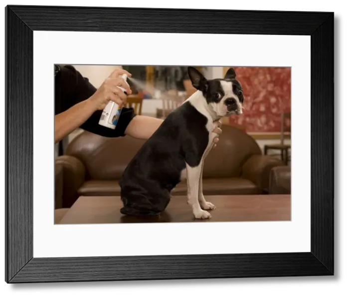 Framed Print : Picture No. 10773206 Framed Print : Picture No. 10773206