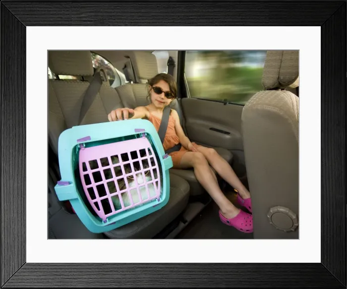 Framed Print : Picture No. 10773405 Framed Print : Picture No. 10773405