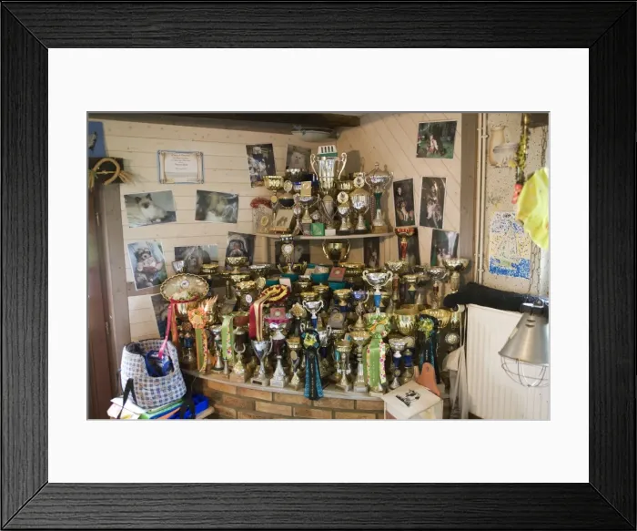 Framed Print : Picture No. 10773288 Framed Print : Picture No. 10773288