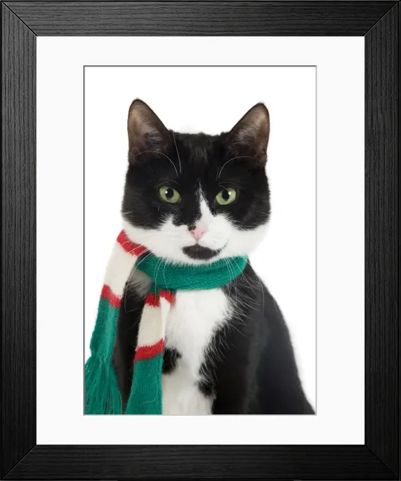 Framed Print : Picture No. 10773444 Framed Print : Picture No. 10773444
