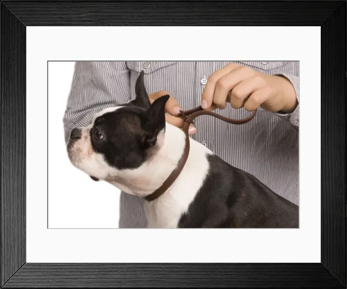 Framed Print : Picture No. 10773350 Framed Print : Picture No. 10773350