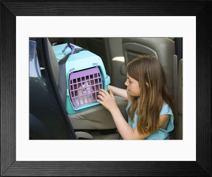 Framed Print : Picture No. 10773406 Framed Print : Picture No. 10773406