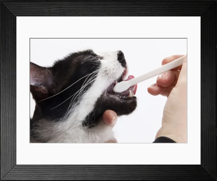 Framed Print : Picture No. 10773448 Framed Print : Picture No. 10773448