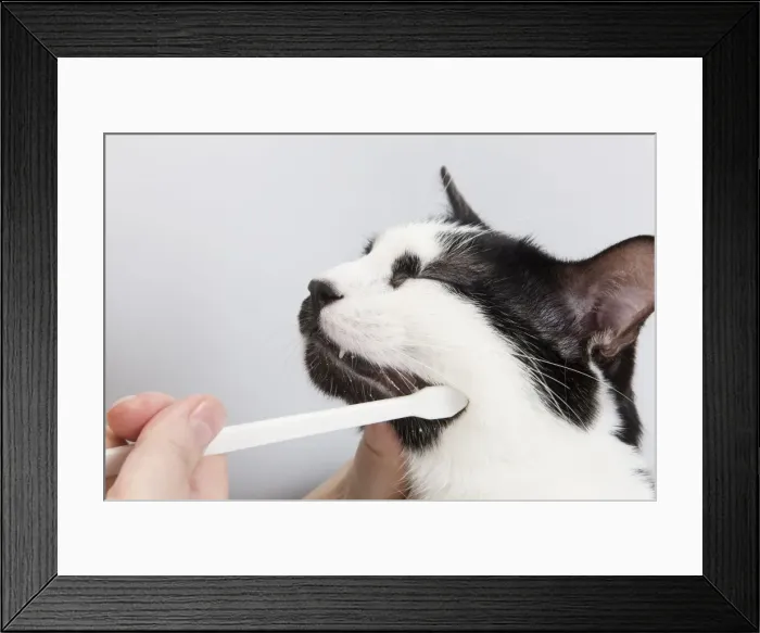 Framed Print : Picture No. 10773449 Framed Print : Picture No. 10773449