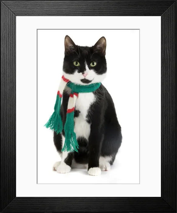 Framed Print : Picture No. 10773445 Framed Print : Picture No. 10773445
