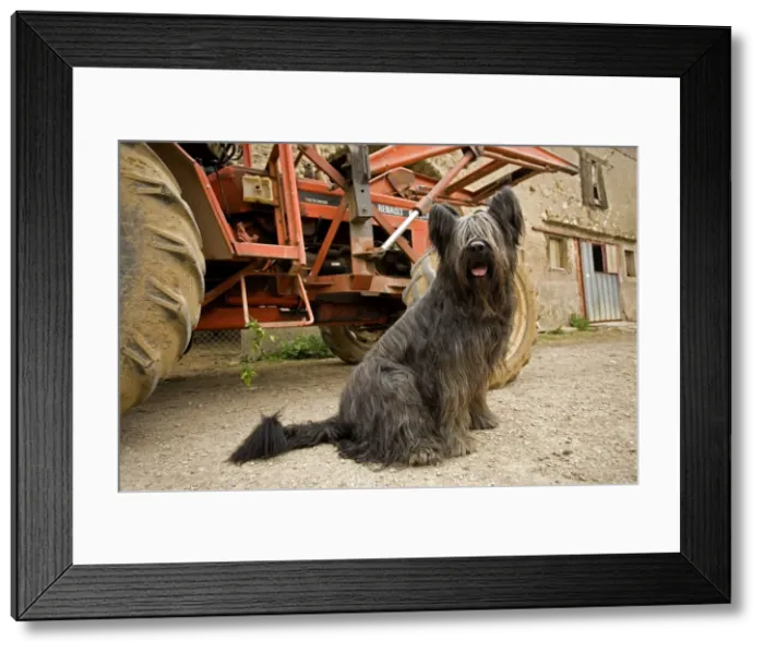 Framed Print : Picture No. 10773533 Framed Print : Picture No. 10773533