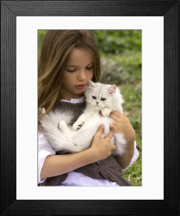 Framed Print : Picture No. 10773701 Framed Print : Picture No. 10773701