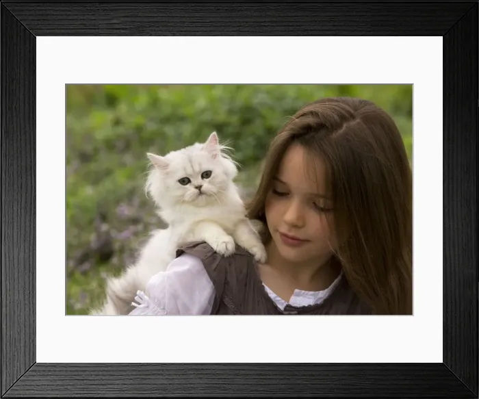 Framed Print : Picture No. 10773703 Framed Print : Picture No. 10773703