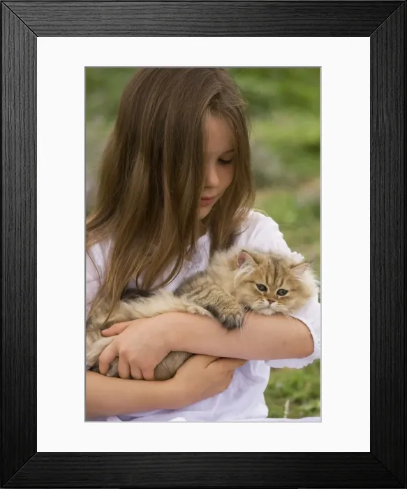 Framed Print : Picture No. 10773706 Framed Print : Picture No. 10773706