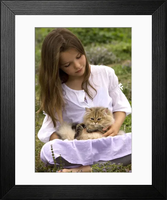 Framed Print : Picture No. 10773704 Framed Print : Picture No. 10773704