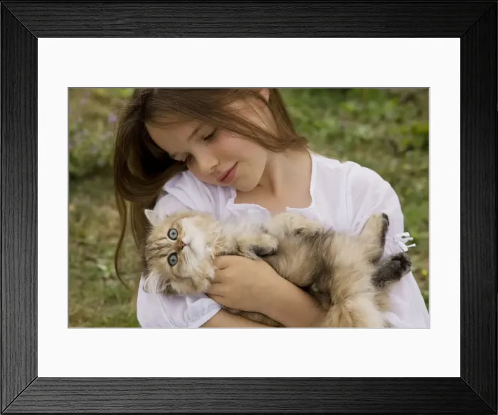 Framed Print : Picture No. 10773708 Framed Print : Picture No. 10773708