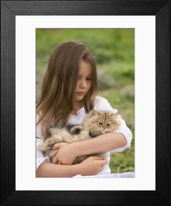 Framed Print : Picture No. 10773705 Framed Print : Picture No. 10773705