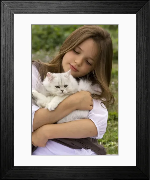 Framed Print : Picture No. 10773702 Framed Print : Picture No. 10773702