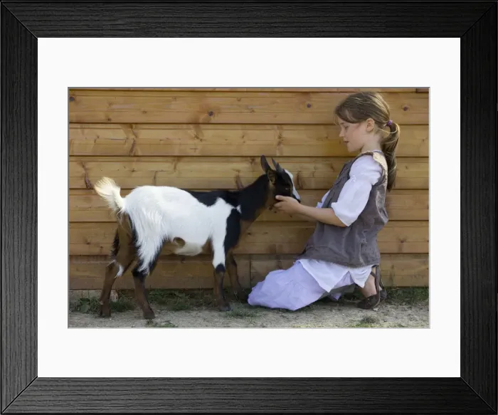 Framed Print : Picture No. 10773716 Framed Print : Picture No. 10773716