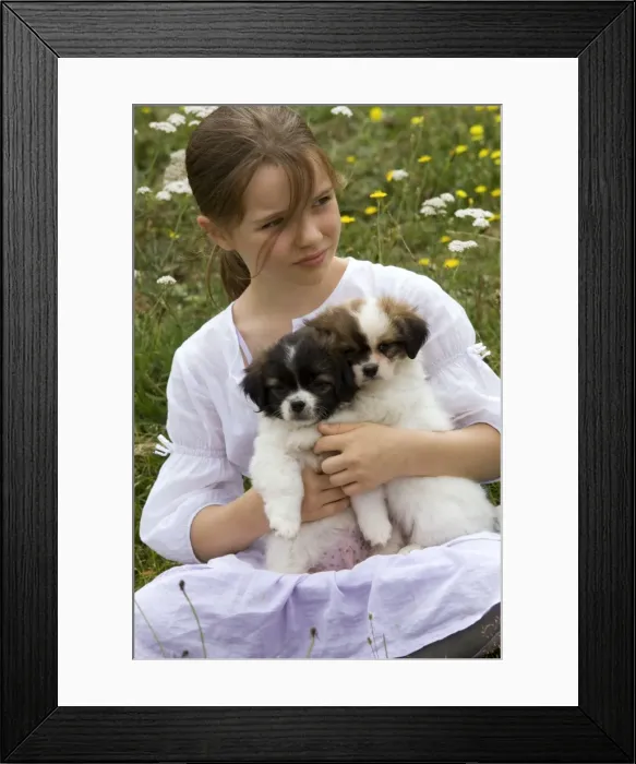 Framed Print : Picture No. 10773715 Framed Print : Picture No. 10773715