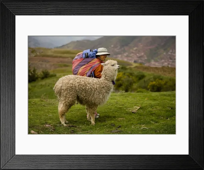 Framed Print : Picture No. 10773821 Framed Print : Picture No. 10773821