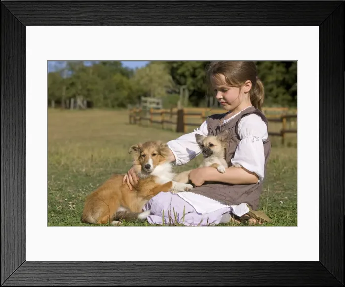 Framed Print : Picture No. 10773728 Framed Print : Picture No. 10773728