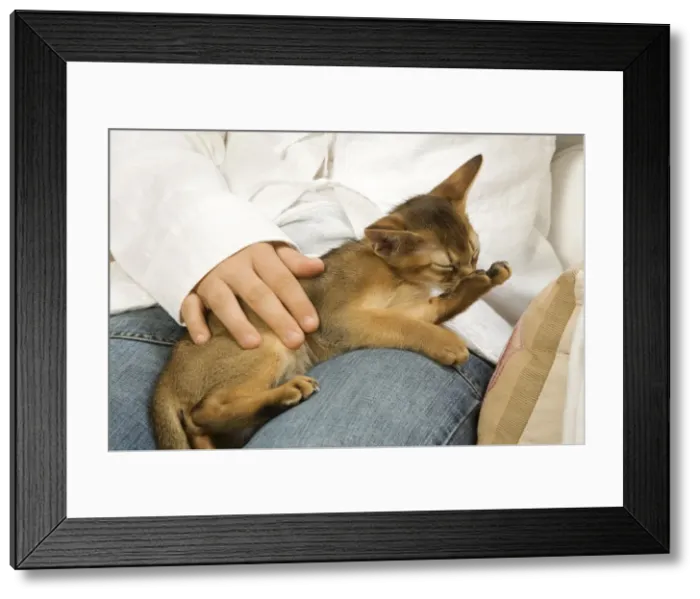 Framed Print : Picture No. 10773786 Framed Print : Picture No. 10773786