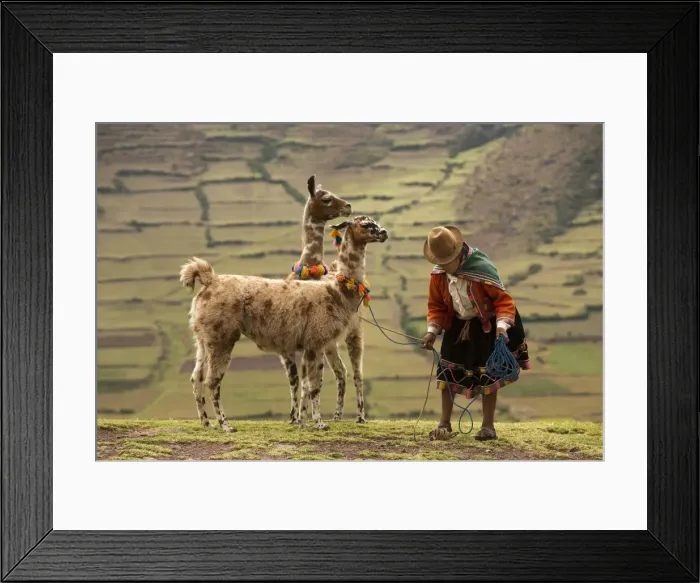 Framed Print : Picture No. 10773822 Framed Print : Picture No. 10773822