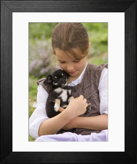 Framed Print : Picture No. 10773880 Framed Print : Picture No. 10773880