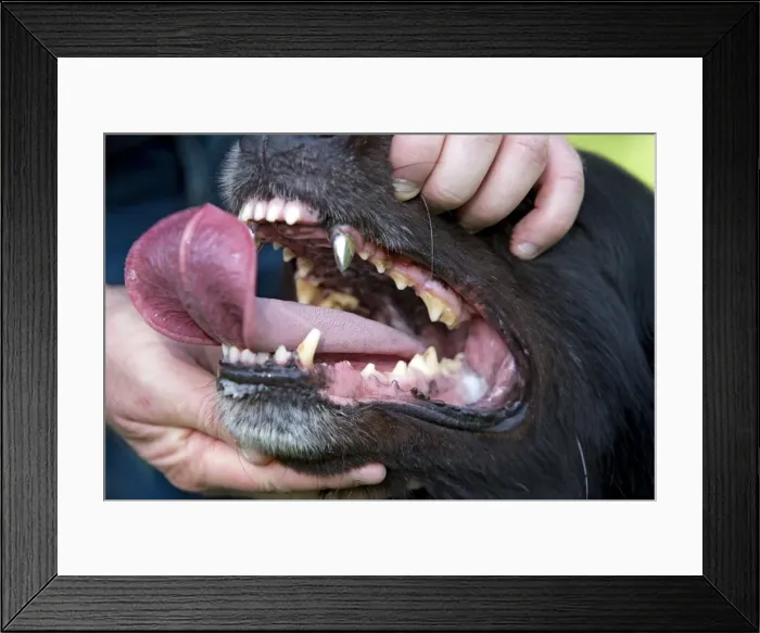 Framed Print : Picture No. 10773853 Framed Print : Picture No. 10773853