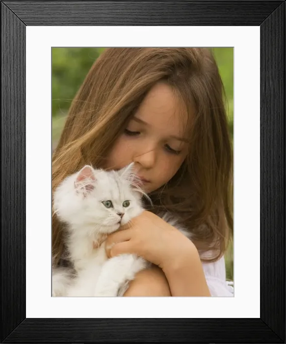 Framed Print : Picture No. 10773885 Framed Print : Picture No. 10773885