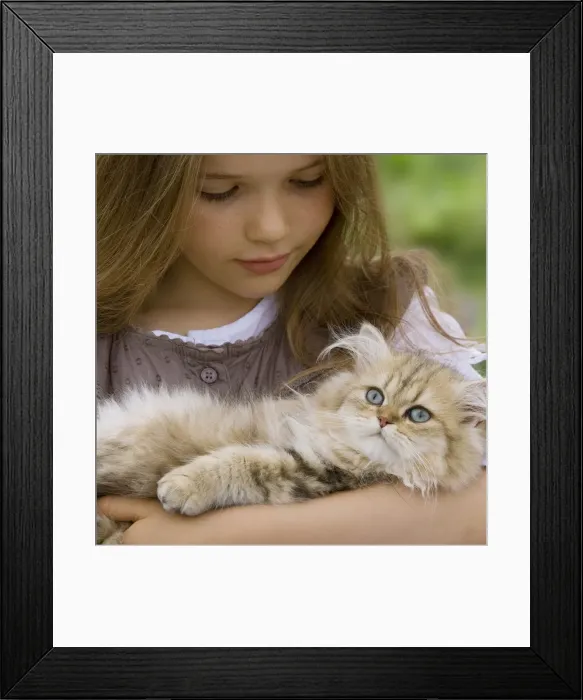 Framed Print : Picture No. 10773882 Framed Print : Picture No. 10773882
