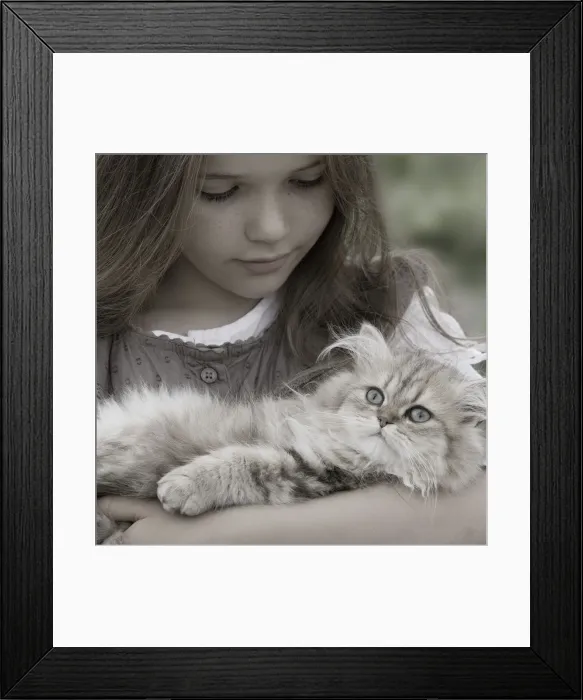 Framed Print : Picture No. 10773883 Framed Print : Picture No. 10773883