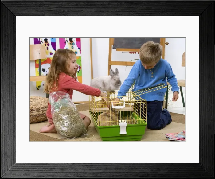 Framed Print : Picture No. 10774020 Framed Print : Picture No. 10774020