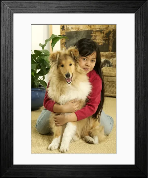Framed Print : Picture No. 10774015 Framed Print : Picture No. 10774015