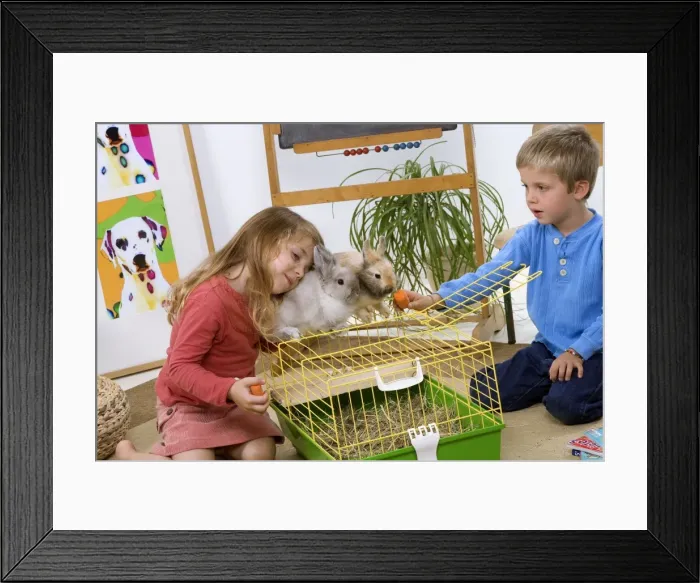 Framed Print : Picture No. 10774021 Framed Print : Picture No. 10774021