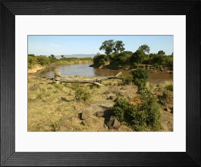 Framed Print : Picture No. 10774137 Framed Print : Picture No. 10774137