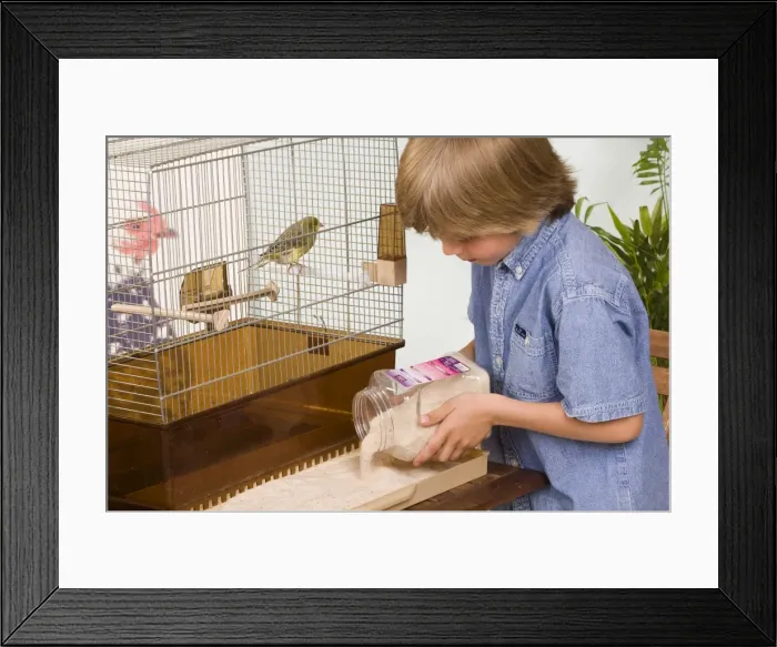 Framed Print : Picture No. 10774142 Framed Print : Picture No. 10774142