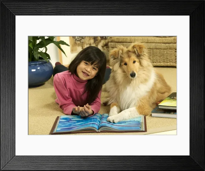 Framed Print : Picture No. 10774160 Framed Print : Picture No. 10774160