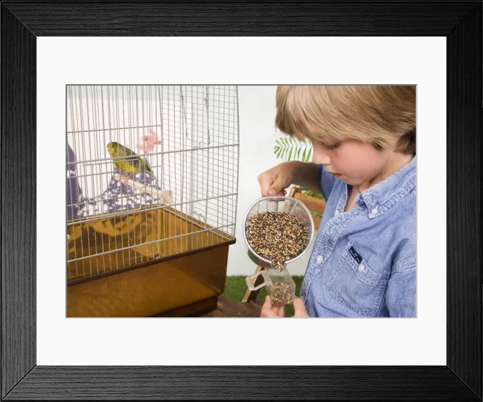 Framed Print : Picture No. 10774140 Framed Print : Picture No. 10774140