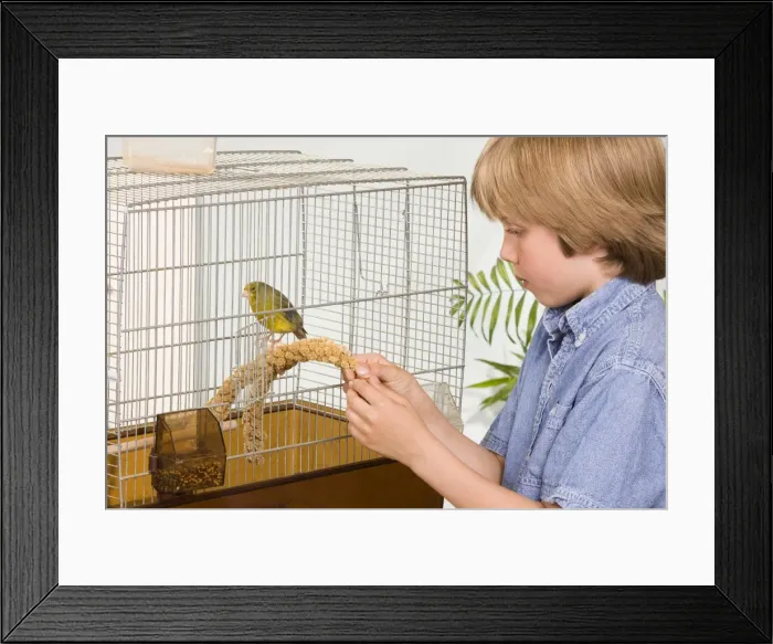Framed Print : Picture No. 10774141 Framed Print : Picture No. 10774141
