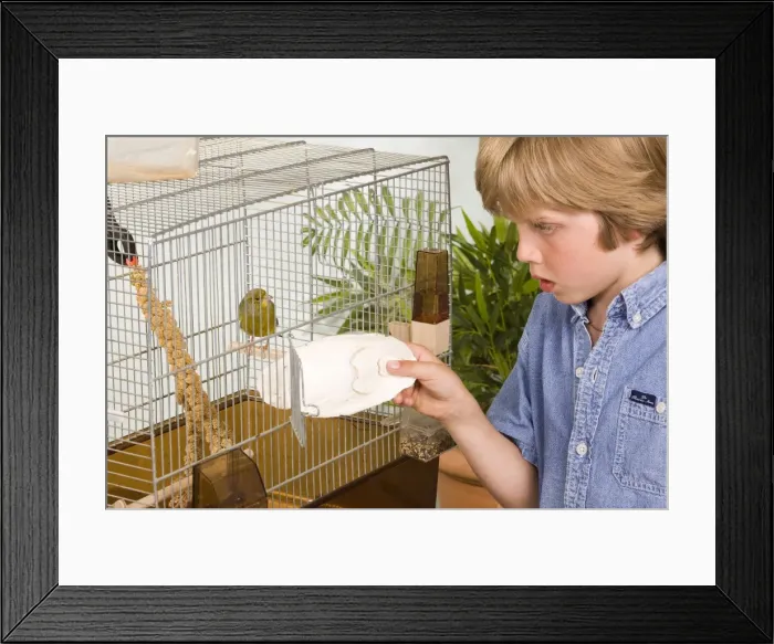 Framed Print : Picture No. 10774143