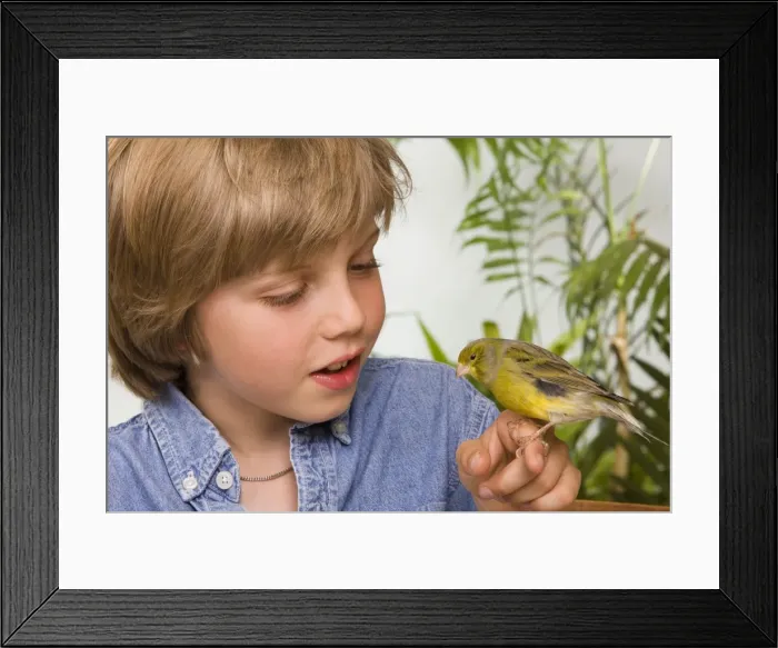 Framed Print : Picture No. 10774144 Framed Print : Picture No. 10774144